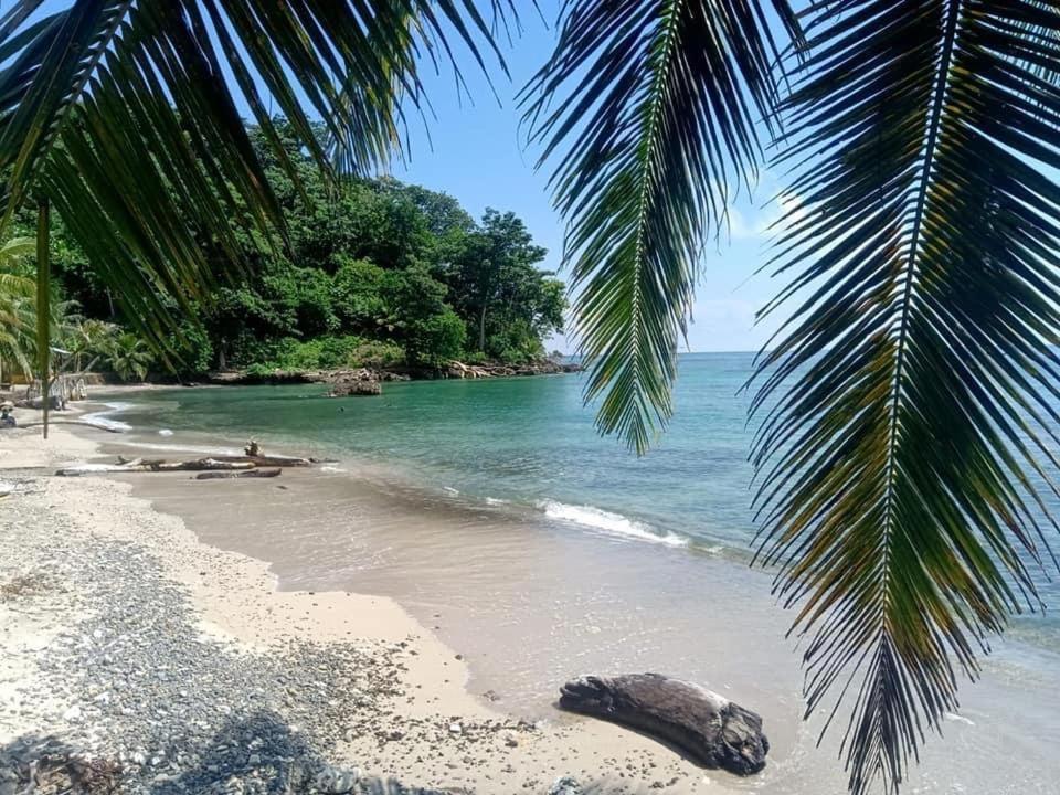 Cabanas Tucan Eco Hotel Capurganá Eksteriør billede