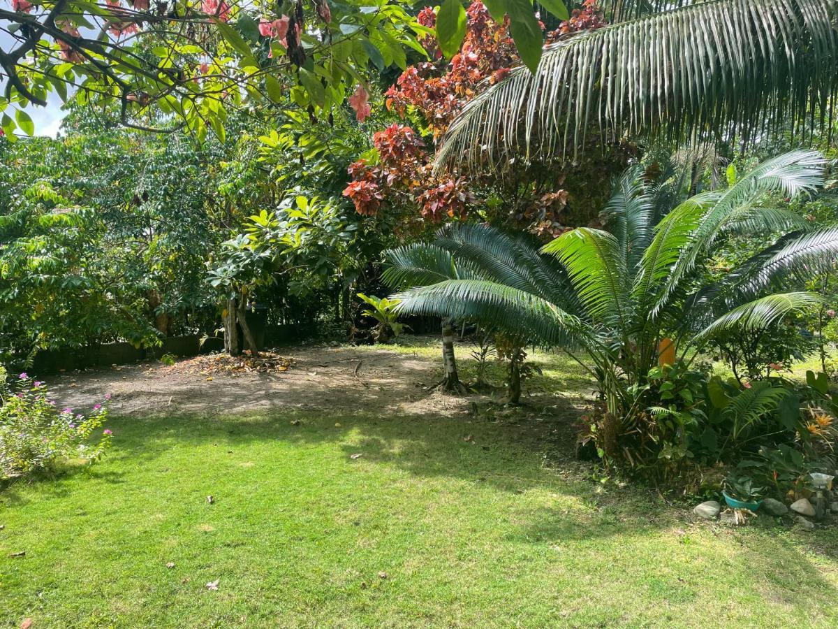 Cabanas Tucan Eco Hotel Capurganá Eksteriør billede