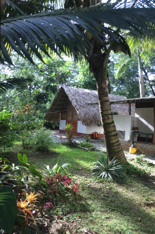 Cabanas Tucan Eco Hotel Capurganá Eksteriør billede